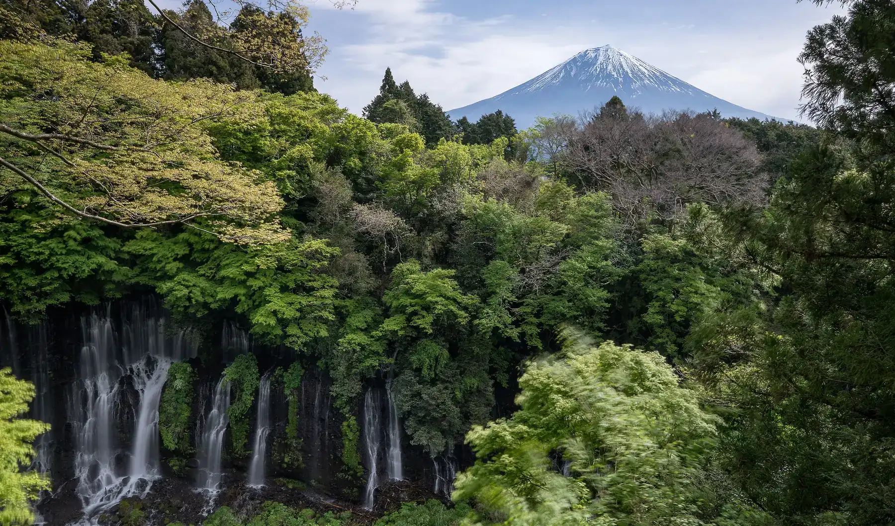 The Fuji Foothills: A Fujinomiya Day