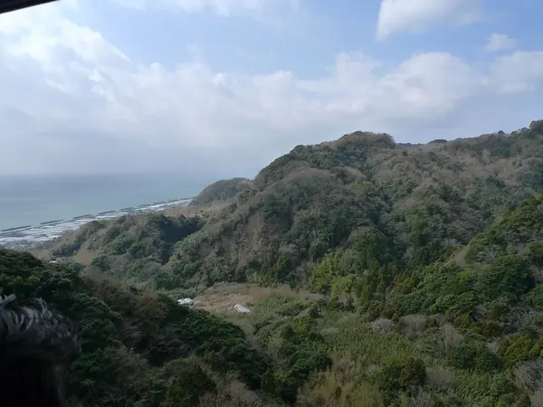 The wooded valley and coast seen from the ropeway