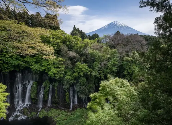 Shiraito Falls with Mt. Fuji rising behind