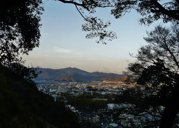 Evening view over Shizuoka city from the shrine hill