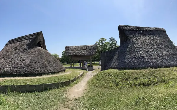 A path between thatched houses at the Toro site